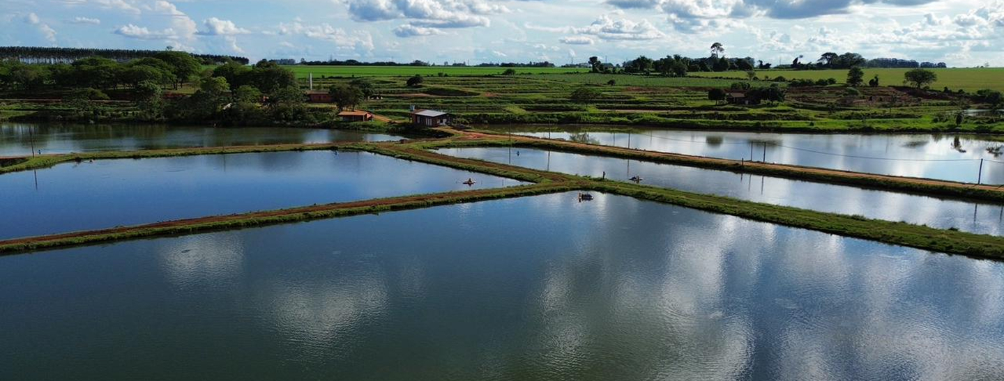 Estanques Ocho Fuentes